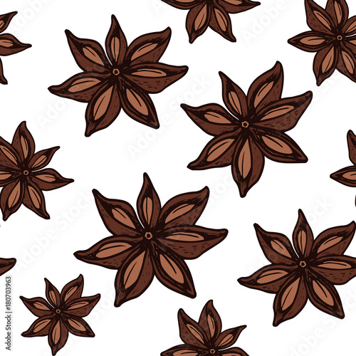 Vintage hand drawn Star Anise seamless pattern on white.  Dried Star Aniseed or lllicium Verum, Used for Seasoning in Cooking. Star anise dessert  spice fruit and seeds.  Vector illustration