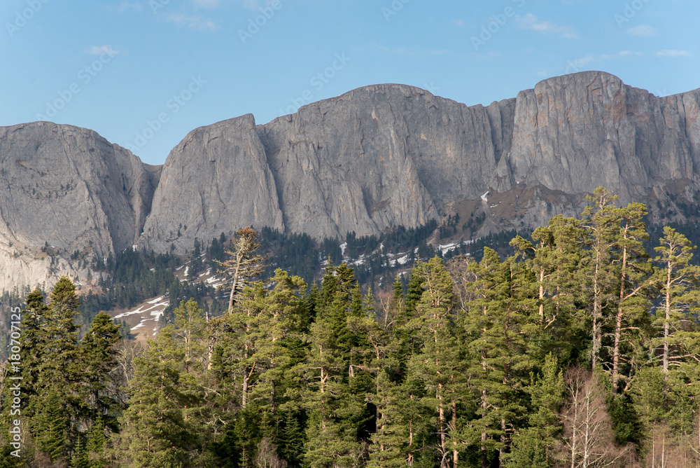 Obraz premium The mountain range of the Big Thach natural park. Adygea