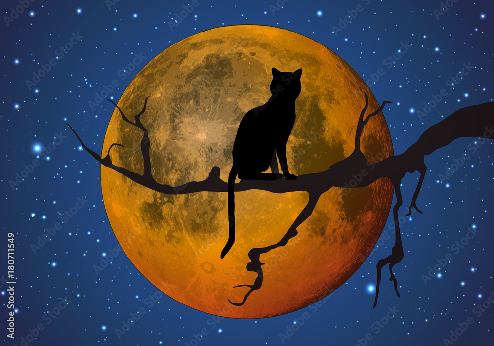 Clair de lune - Chat noir Clair de lune - Chat noir