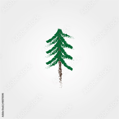 Sapin 