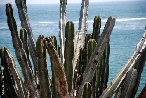 Landscape in Zihuatanejo photo