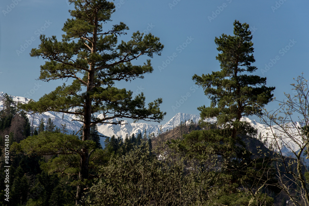 The mountain range of the Big Thach natural park. Adygea The mountain range of the Big Thach natural park. Adygea