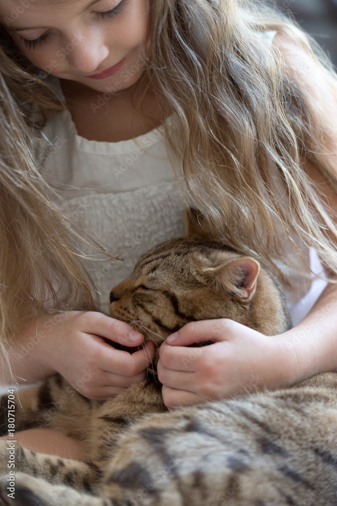 Child playing with cat Child playing with cat