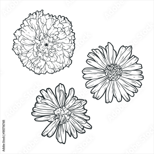 Flower set monochrome  vector lustration isolated on white background