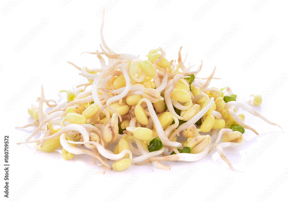 bean sprouts, soybean sprouts on white background
