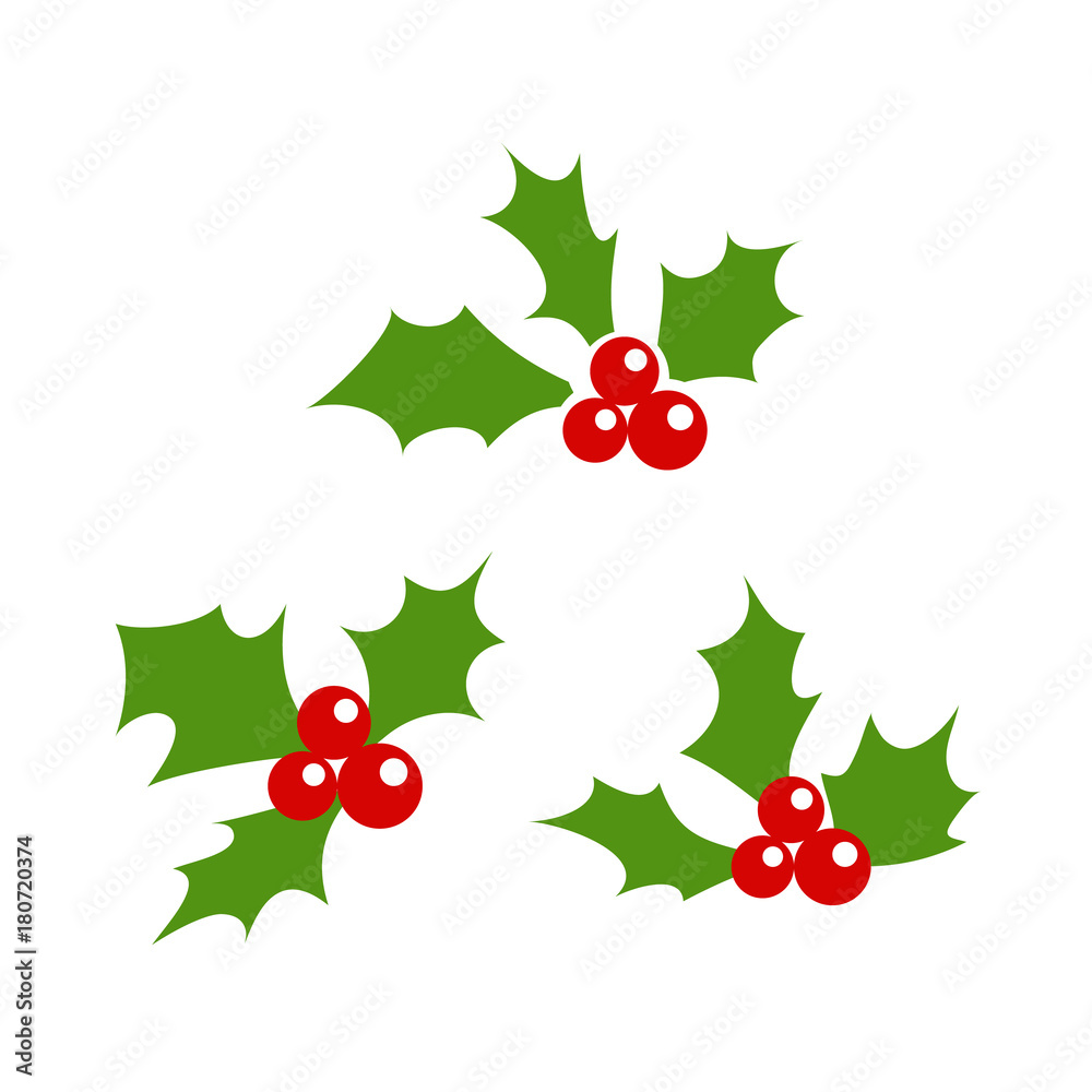 Holly berry leaves Christmas icon. Vector illustration