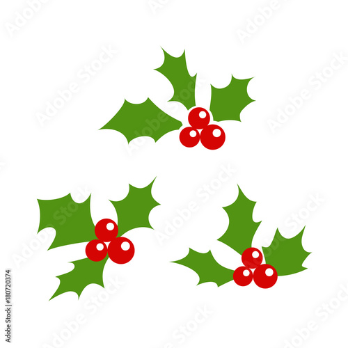 Holly berry leaves Christmas icon. Vector illustration