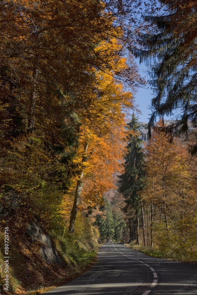 Obraz premium L'automne à Servoz, Haute-Savoie, France