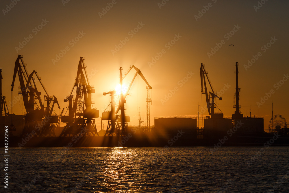 Many big cranes silhouette in the port at golden light of sunrise reflected in water. Berdiansk, Ukraine