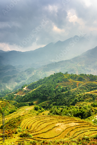 Sunlit green rice terraces at highlands of Sa Pa, Vietnam