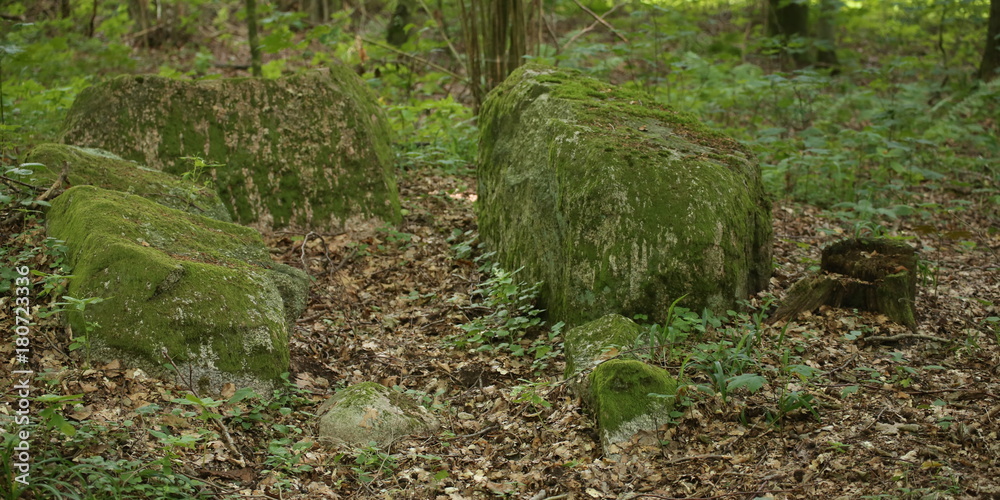 Fototapeta premium Remains of the megalithic chambered tomb Pustow 8 in Germany