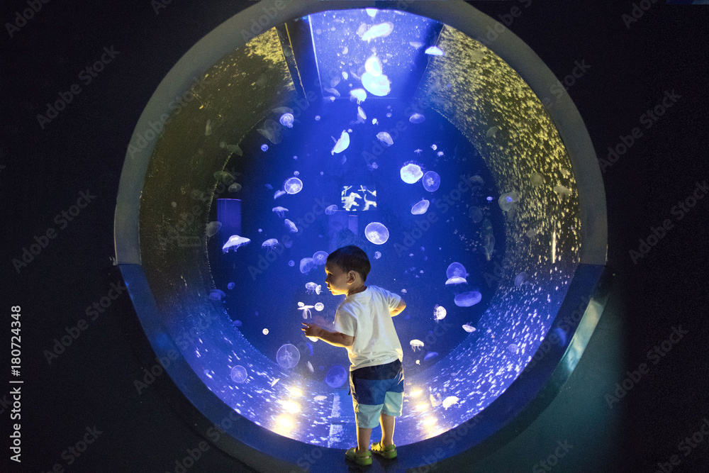 Obraz premium A child stands amid a large round jellyfish tank