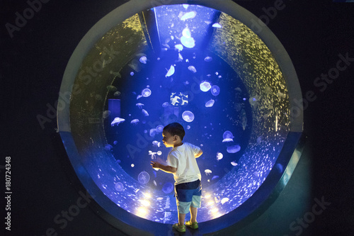 A child stands amid a large round jellyfish tank