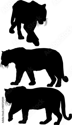 three large isolated black tiger silhouettes