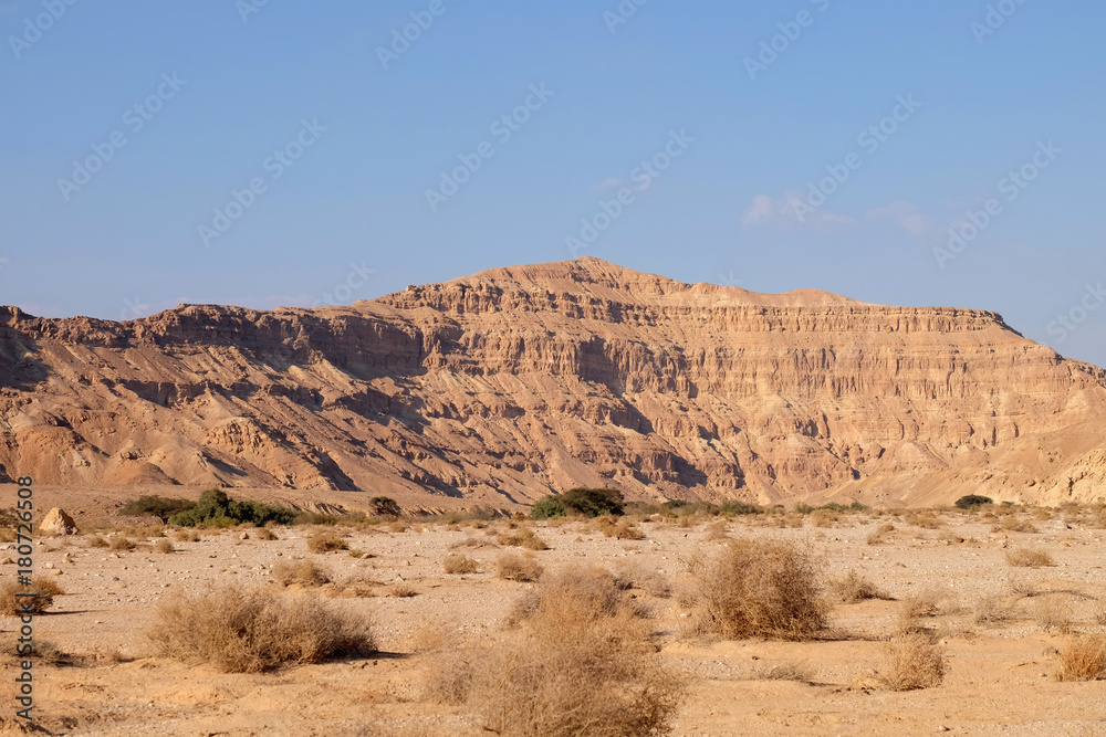Dry wadi evening landscape in Negev desert, Israel. Dry wadi evening landscape in Negev desert, Israel.