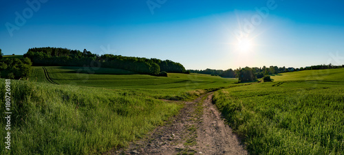 Green field and clear blue sky sun panorama