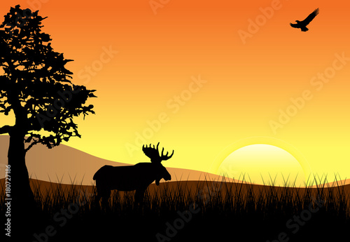 Sunset with Elk and Eagle