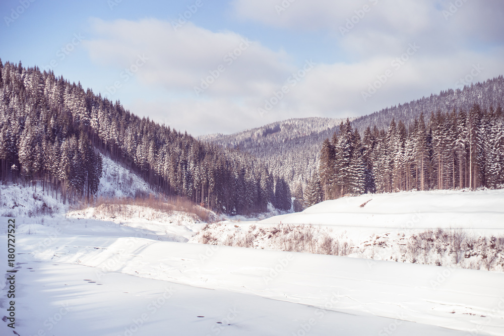 Winter Nature snowy background.