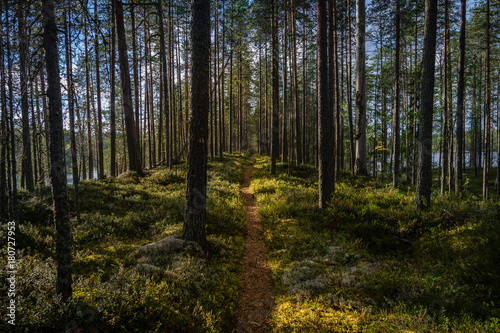 Hiking path © Mitja