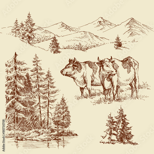 Nature and farming isolated design elements. Grazing cows, pasture and pure natural dairy products label icons set