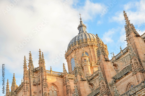 Salamanca  Castilla y Le  n  Spain  Europe 