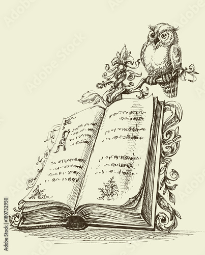 Open book vintage stand and cute owl symbol of wisdom photo