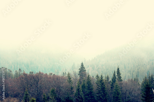 Mountain landscape in the fog. house in the mountains. Carpathian mountains.