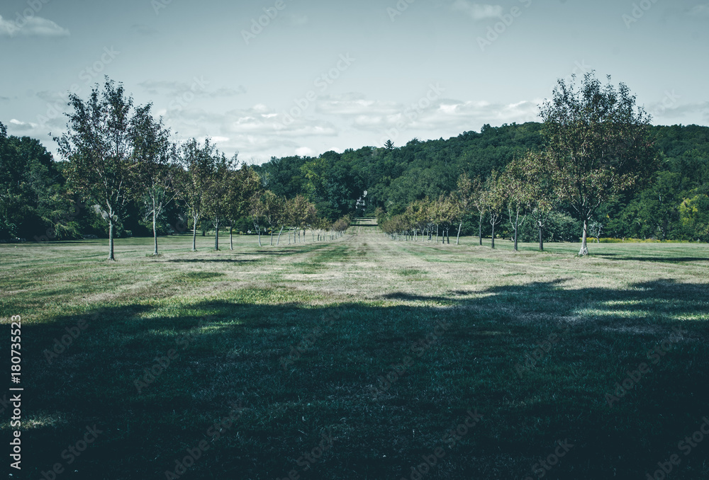 Open grass field tree lined. Open park ground with tree lined borders