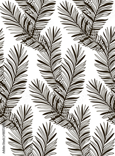 Vector Black Seamless Pattern with Drawn Fern Leaves
