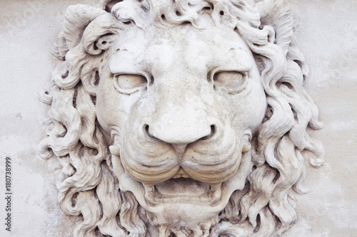 Sculpture of a medieval lion head of stone (Italy) - frontal view