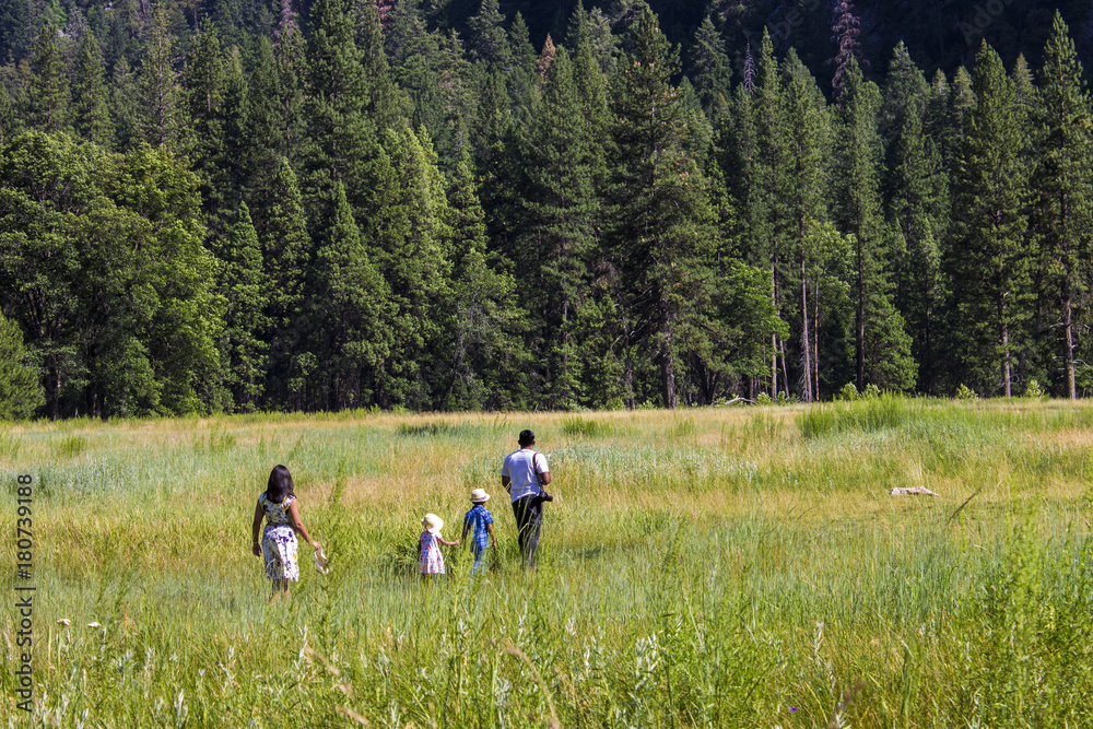 A family walks through the grass in Yosemite Valley, California A family walks through the grass in Yosemite Valley, California