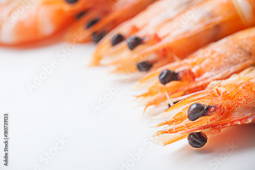 head cooked shrimp on white background. Seafood.