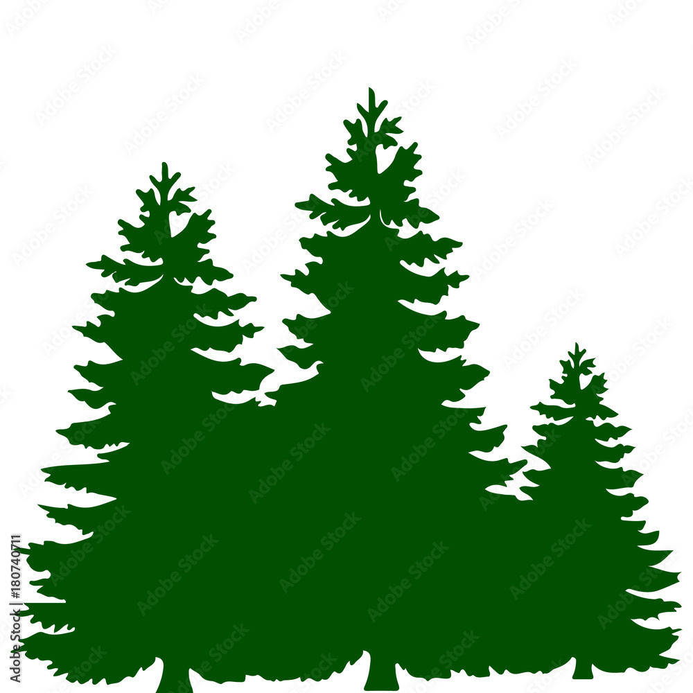 Silhouette of three green Christmas trees, on white background,
