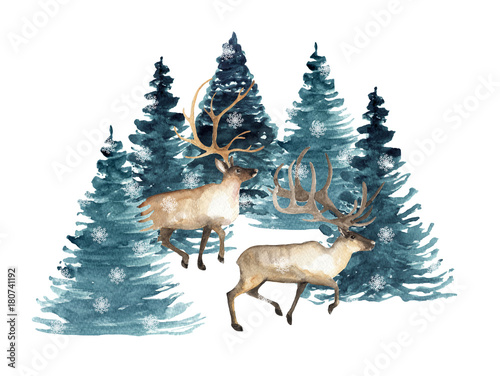 Obraz na płótnie Zimowy las. Akwarela wyciągnąć rękę