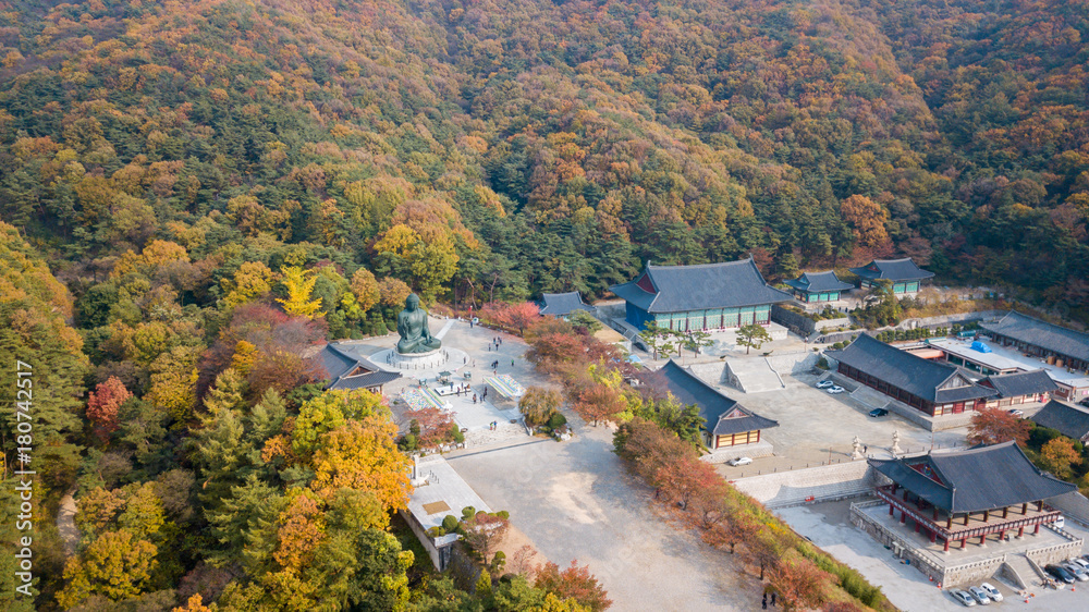 Aerial view autumn of Statue of Buddha in Temple, Seoul Korea .
