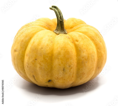 One whole yellow pumpkin isolated on white background. photo