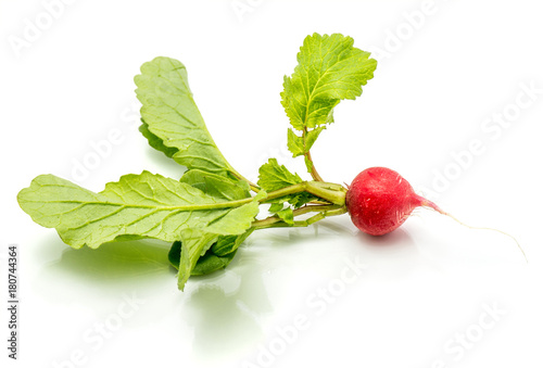 One whole red radish with fresh green leaves isolated on white background.