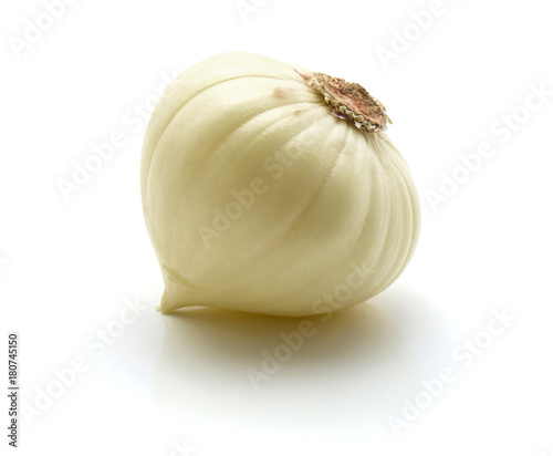 One whole peeled solo garlic isolated on white background. photo