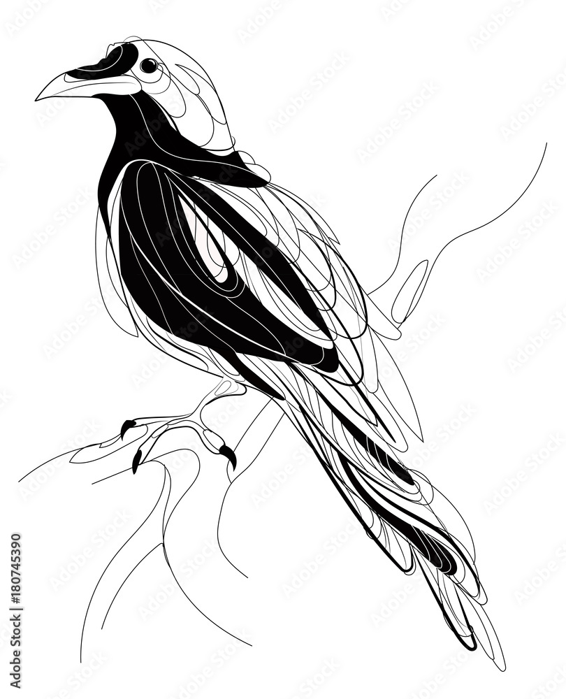 A crow sitting on a branch. Stylized magpie on a tree. Black and white crow.  Linear Art. Tattoo. Vector illustration. Stock Vector | Adobe Stock