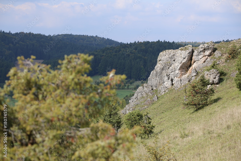Slope with rock cliffs at Muehlberg near Unterwiesenacker, Upper Palatinate, Germany Slope with rock cliffs at Muehlberg near Unterwiesenacker, Upper Palatinate, Germany