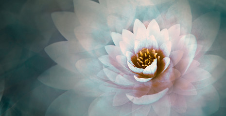 Papier peint photo Fleur de lotus Lotus rose sur fond bleu onirique  © Kerem Severoğlu