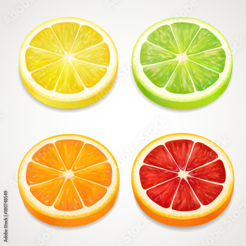 Citrus slices realistic. Lemon, orange, lime, grapefruit vector set