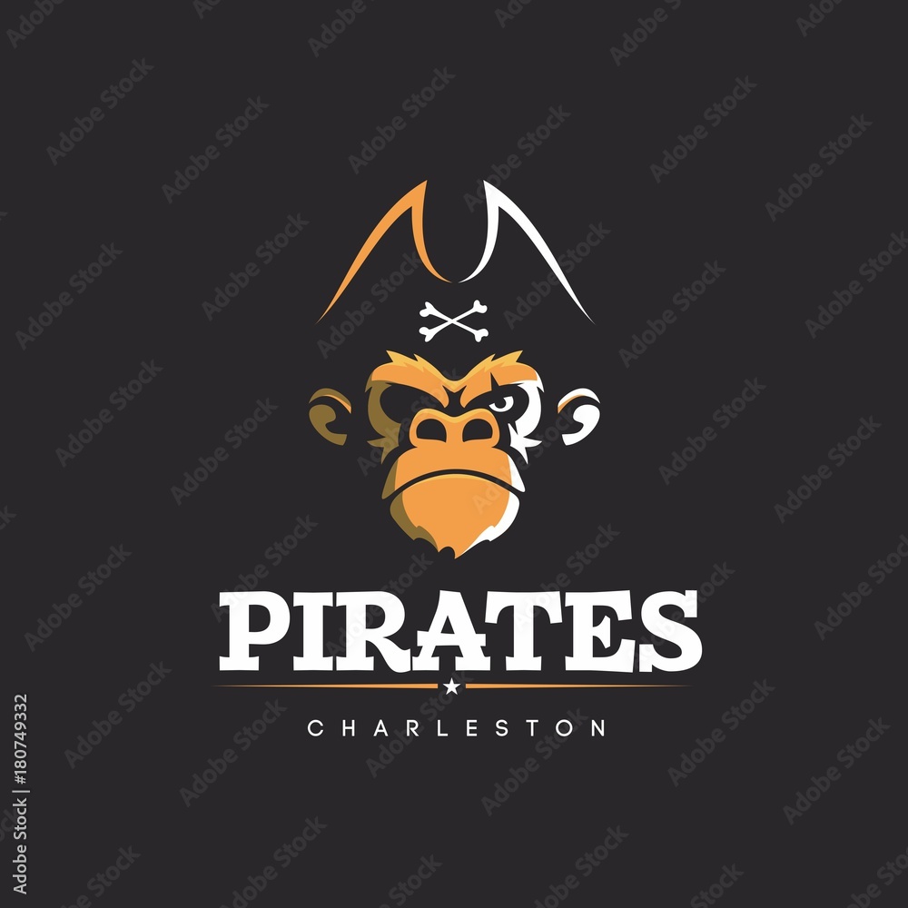 Modern vector professional logo emblem pirates monkey