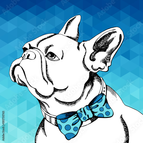 French Bulldog. Vector illustration for a card or poster. Print on clothes. Cute puppy. Pedigree dog.