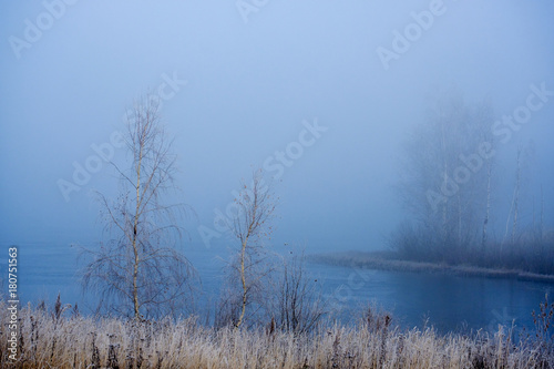 winter landscape with a view of snow-covered trees in the fog