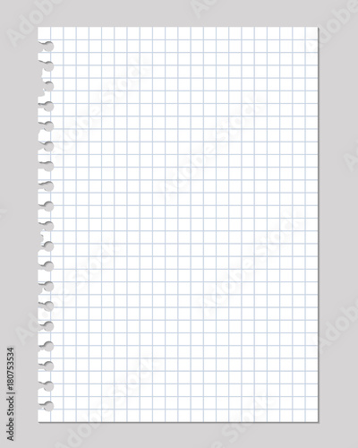 vector realistic illustrations of a torn sheet of paper from a workbook with shadow, isolated