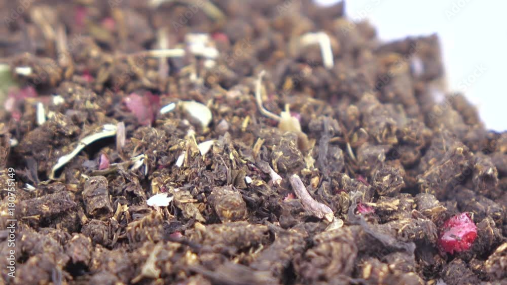 Ivan-tea with a dog rose