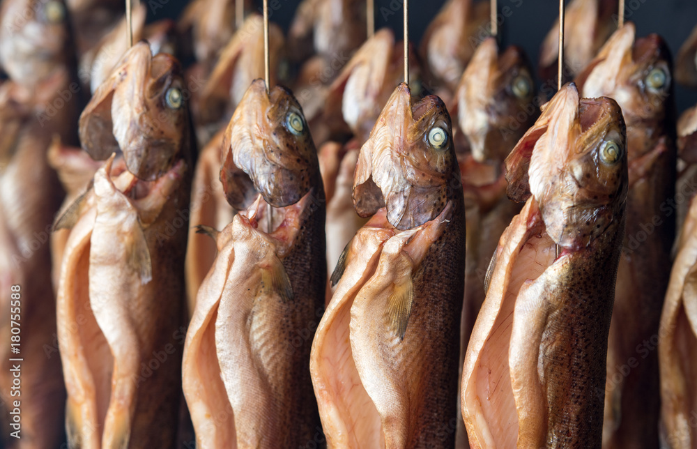 forellen im räucherofen Stock 写真 | Adobe Stock