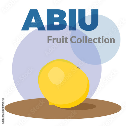 Pouteria caimito or the abiu golden fruit isolated on background. Yellow vector tropical fruit. photo