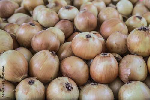 pile of onion bulbs as a background